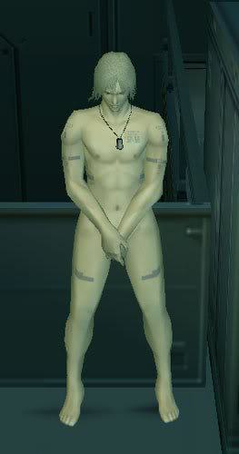 raiden_naked-article_image