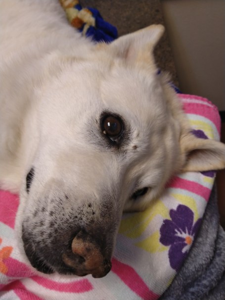 02-13-19 Final photo before saying goodbye.jpg