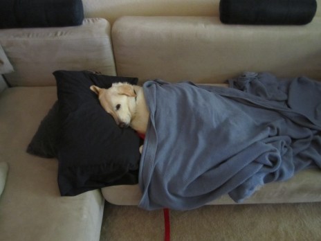 10-07-12 02 Tucked her in.JPG